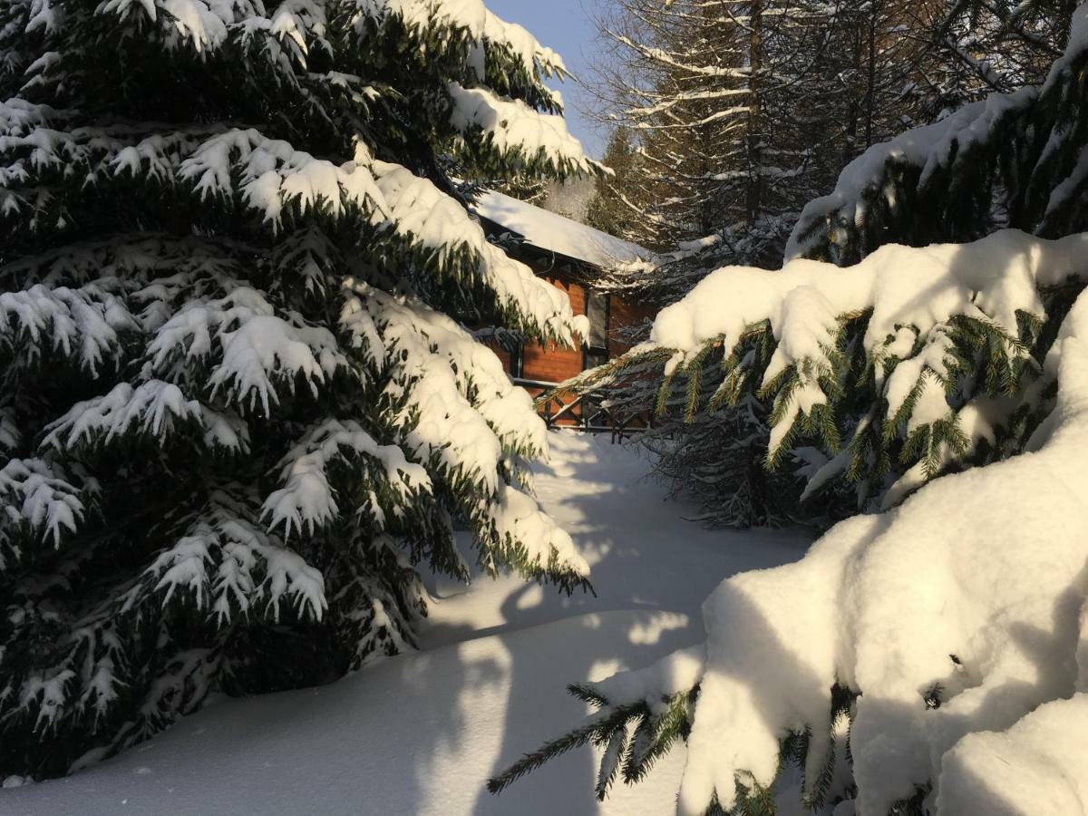 Chalet Rackova Dolina Pribylina Extérieur photo